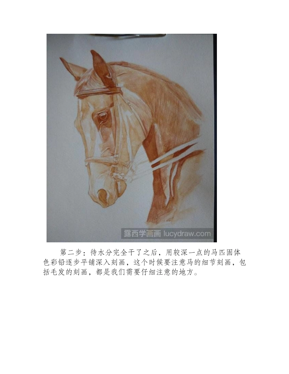 马的彩铅画教程彩铅画教程_第2页