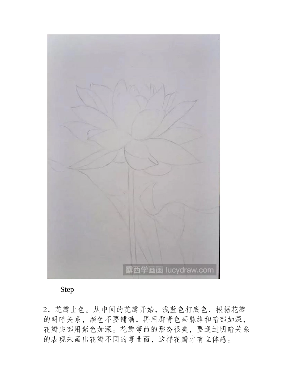 蓝莲花彩铅画教程彩铅画教程_第2页
