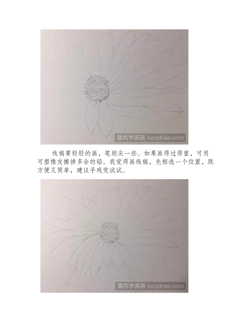蓝目菊彩铅画怎么画_彩铅画教程_第2页