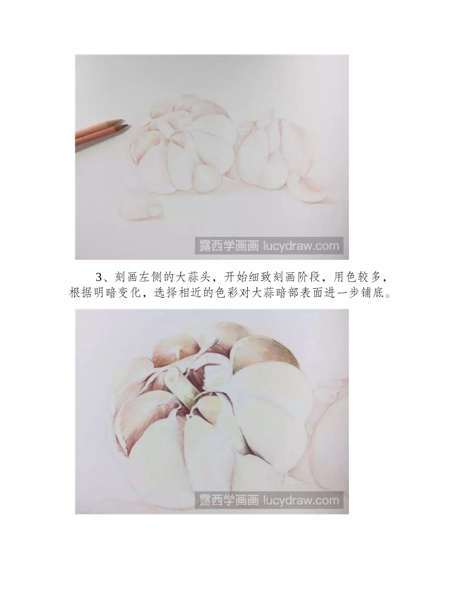 零基础学彩铅画入门教程：如何画大蒜_彩铅画教程_第2页