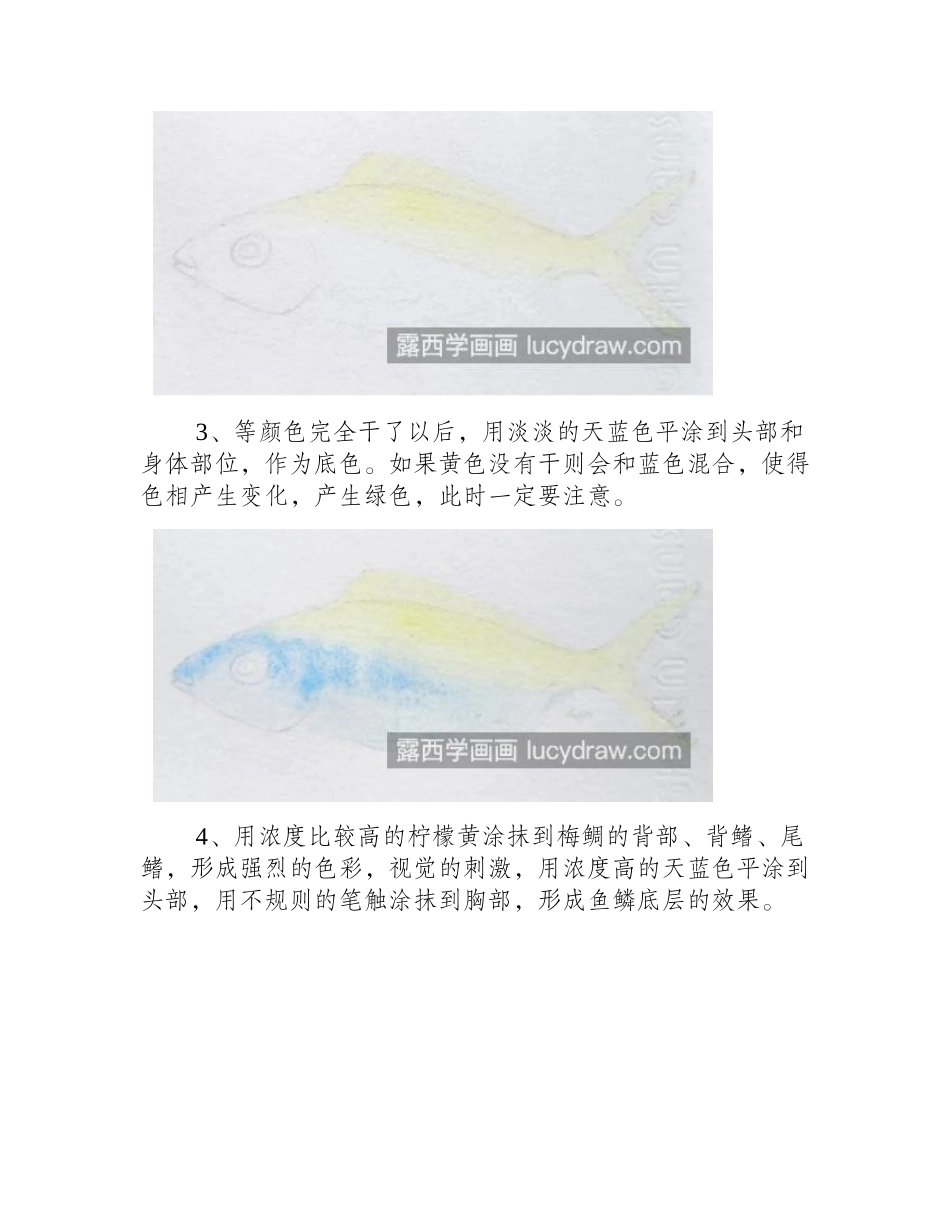 蓝黄火枪鱼怎么画_蓝黄梅鲷的水彩画法是什么_水彩画教程1_第2页