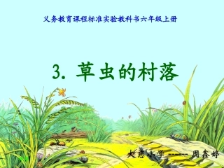 六年级语文上册第一组3草虫的村落课件