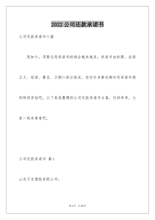 2024公司还款承诺书_37