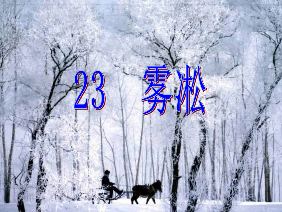 雾凇(第一课时)_第3页