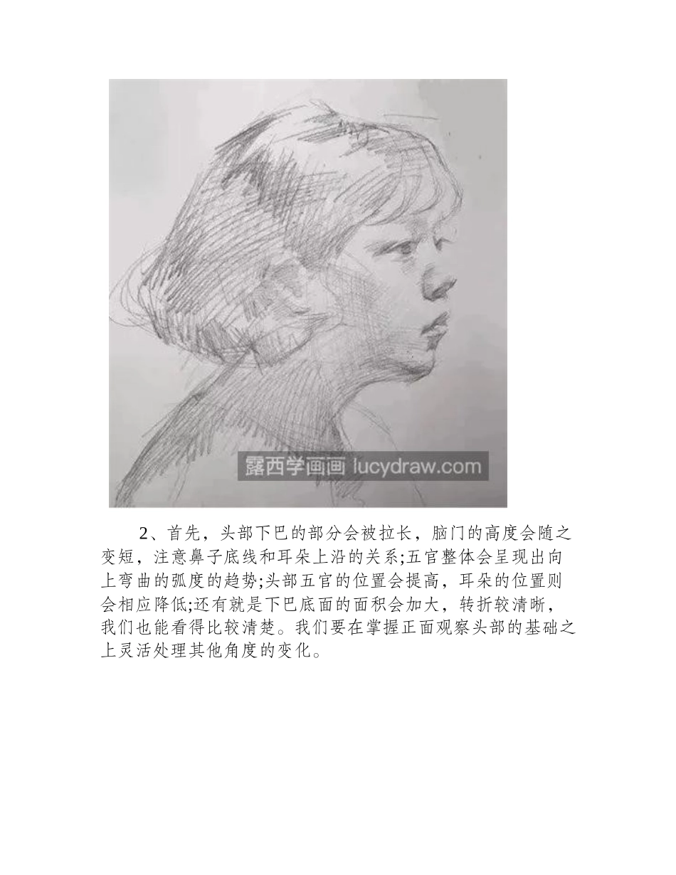 女青年侧面怎么画_1_2的侧面画法是什么_素描教程_第2页