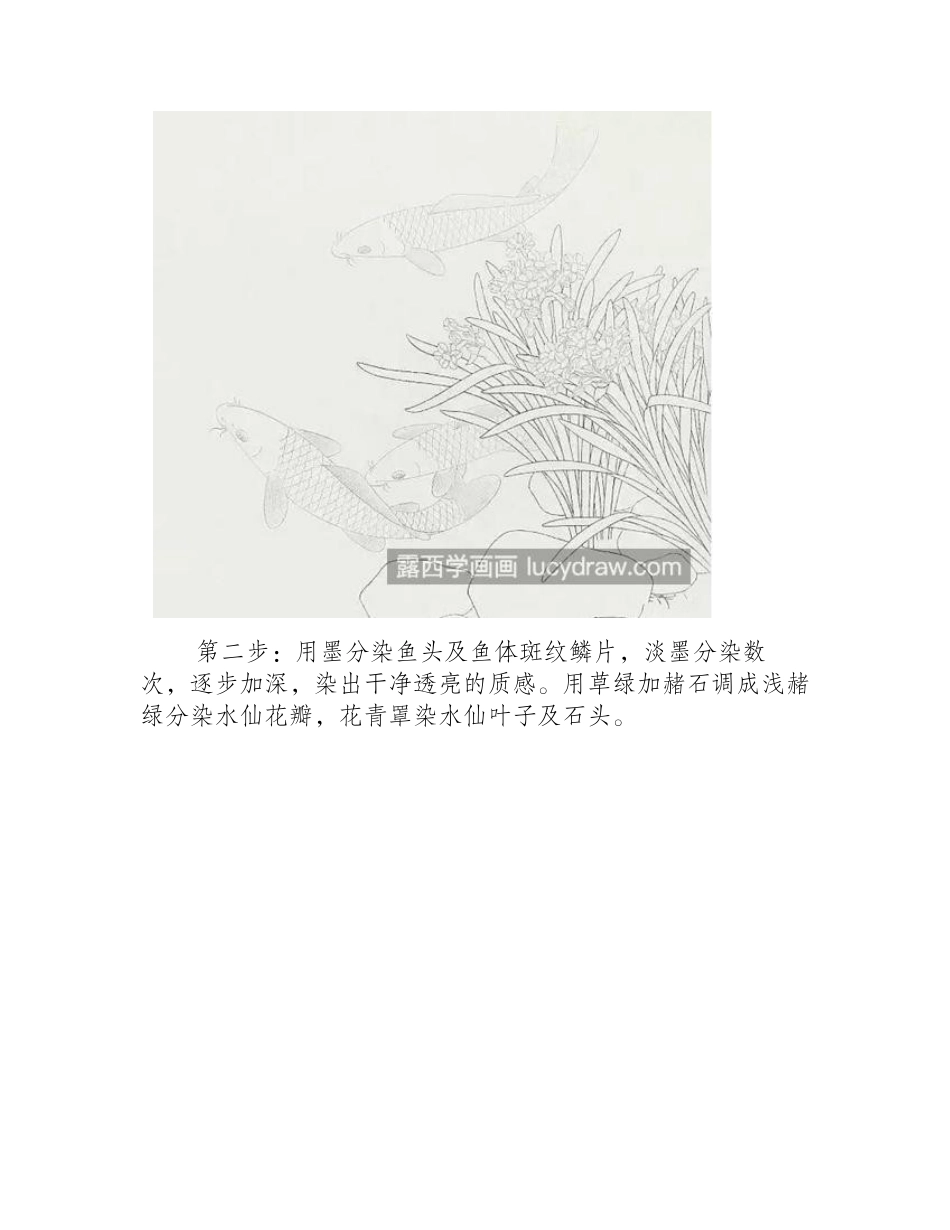 锦鲤和水仙怎么画_工笔绘画步骤有哪些_工笔画教程_第2页