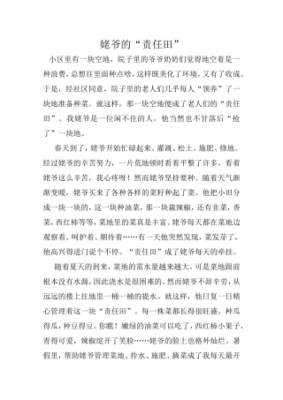 姥爷的责任田