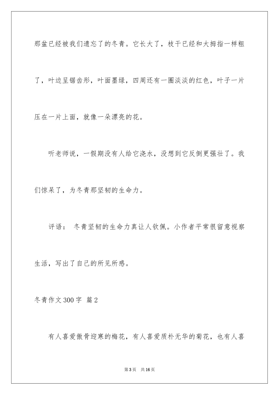 2024冬青作文300字_32_第3页