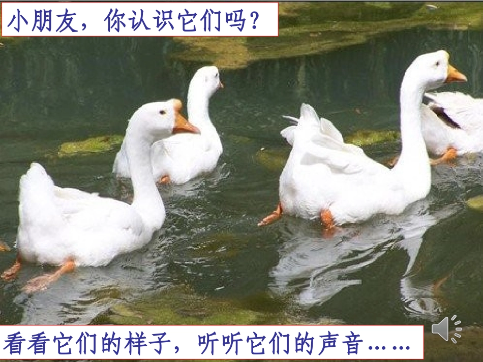 北师大版一年级语文上册《咏鹅》微课脚本_第2页