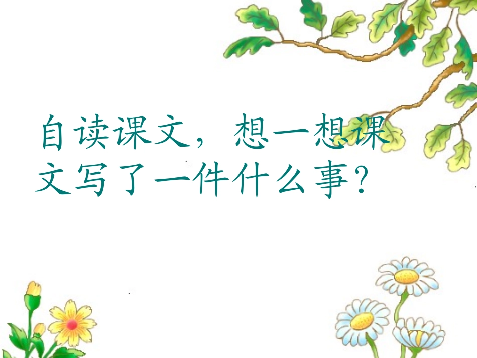 桃花心木课件_第3页
