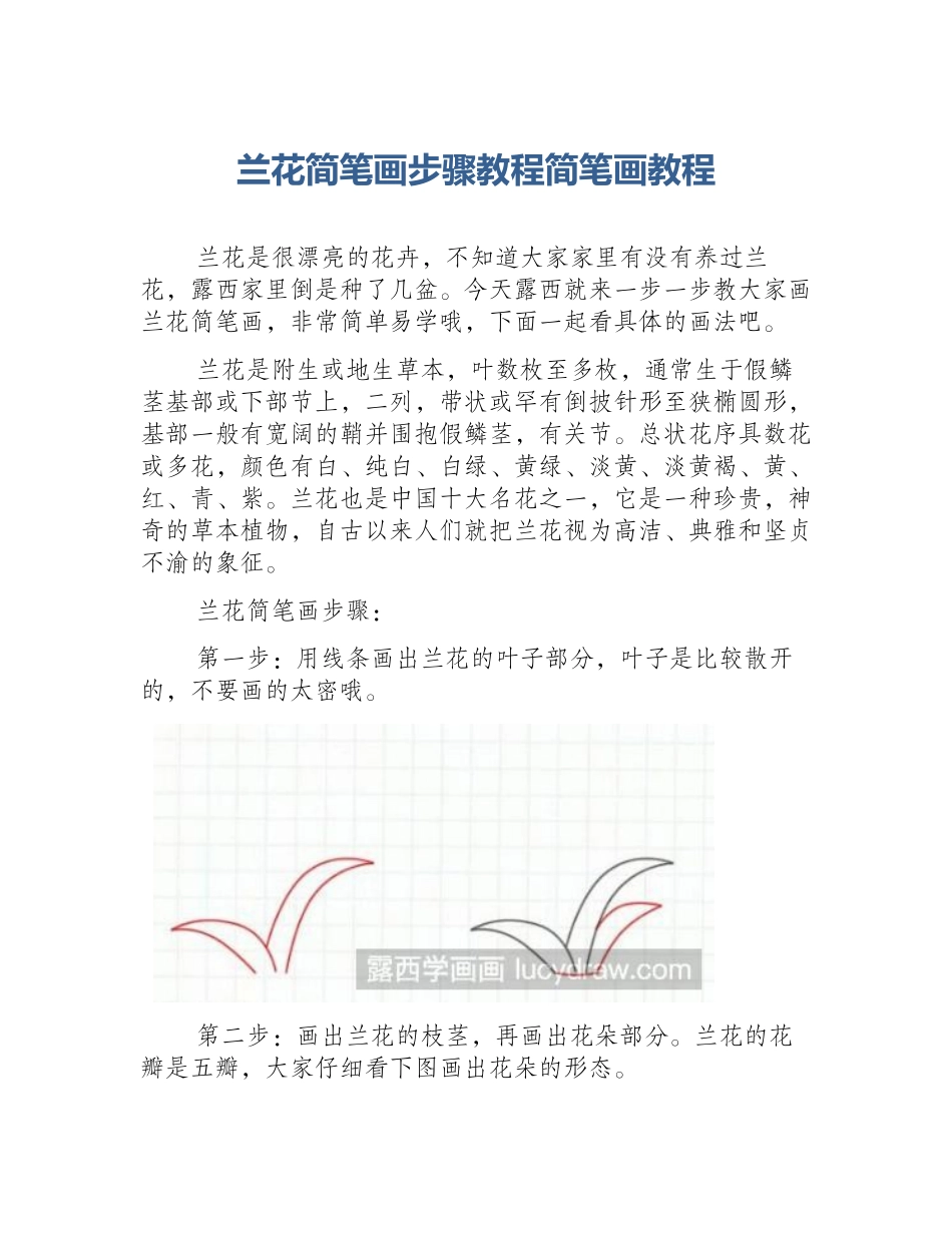兰花简笔画步骤教程简笔画教程_第1页