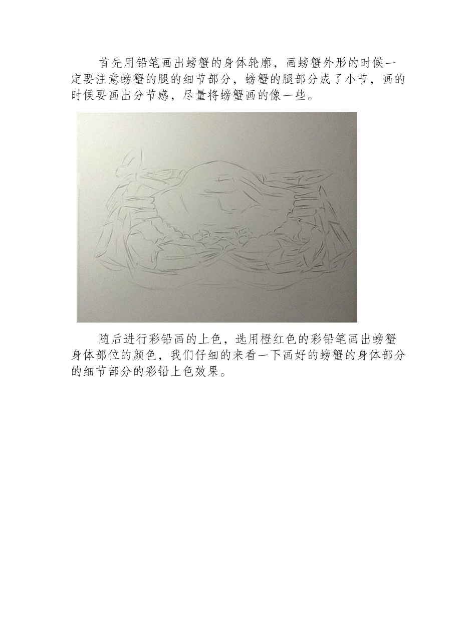 螃蟹怎么画_逼真的螃蟹彩铅画教程彩铅画教程3_第2页
