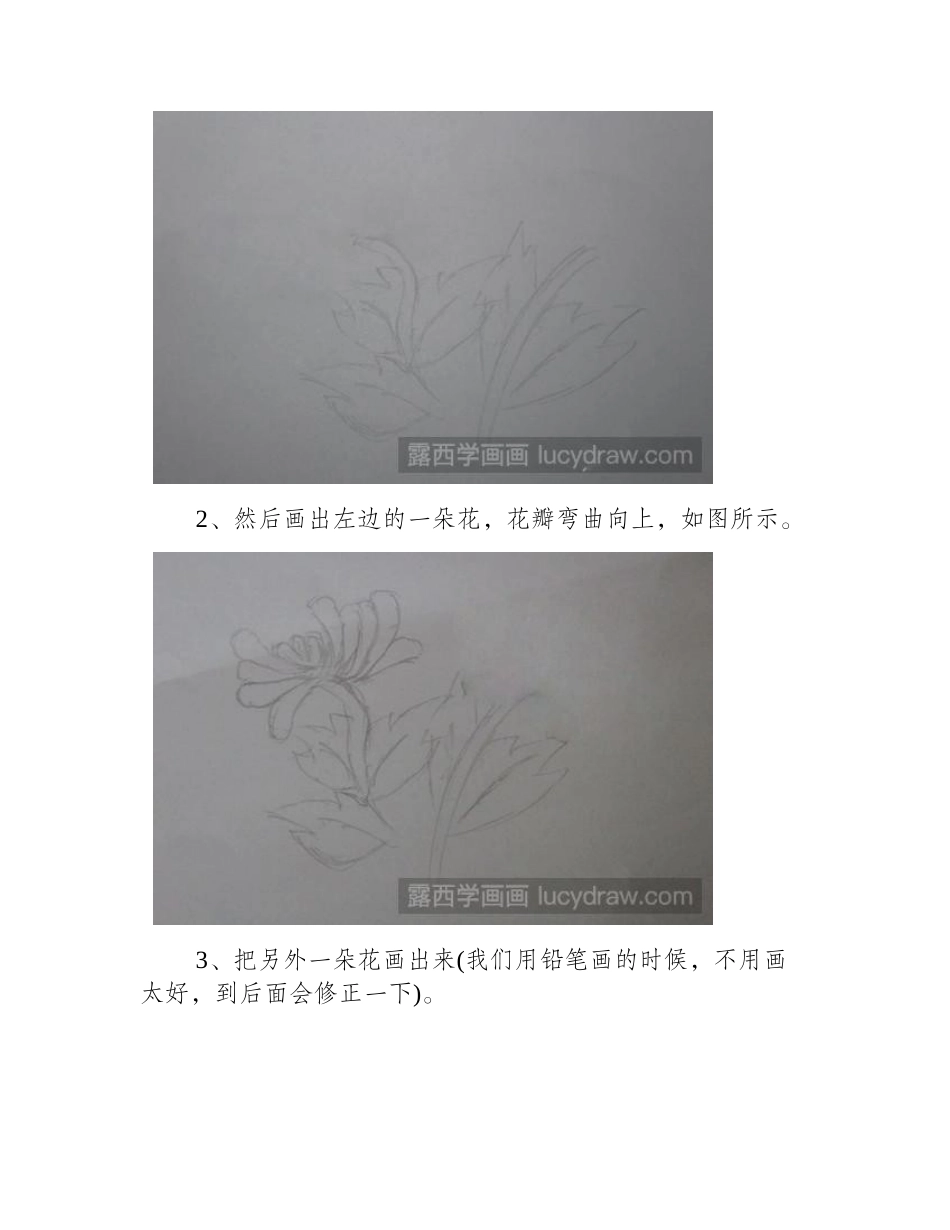 菊花怎么画儿童画教程_第2页