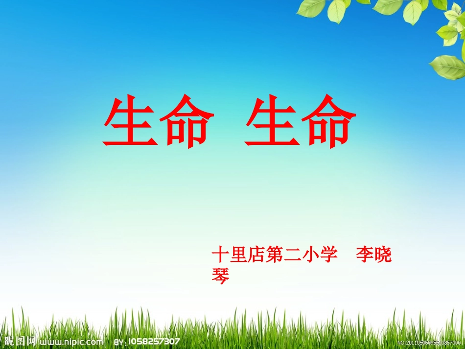 生命生命 (3)_第1页