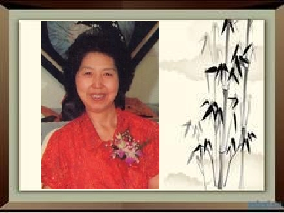 生命生命 (3)_第3页