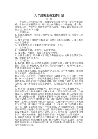 田萍班主任计划