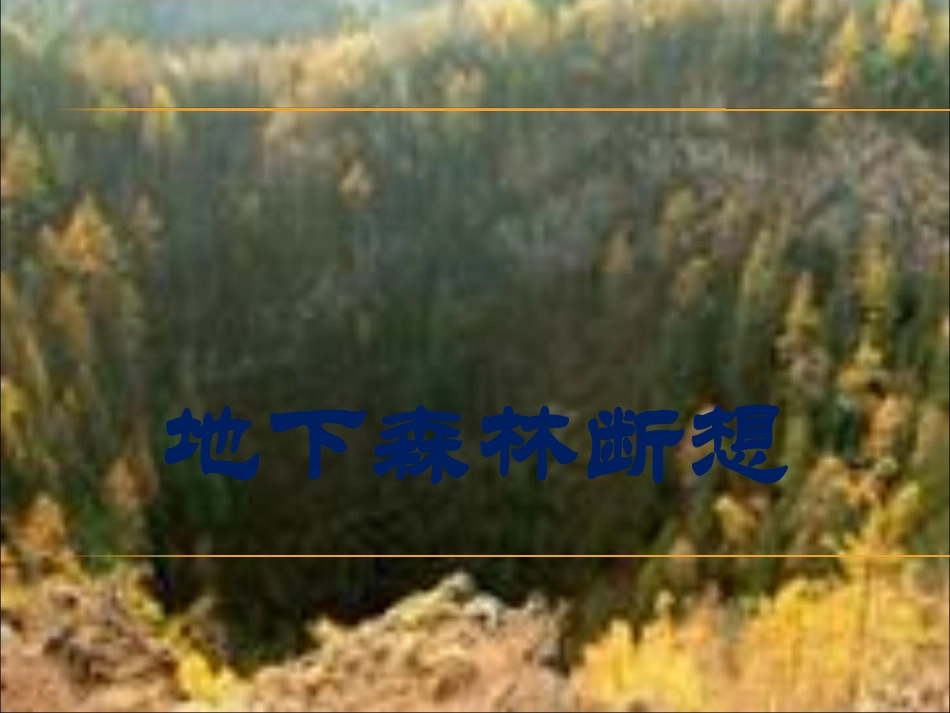 九年级《地下森林断想》课件_第1页