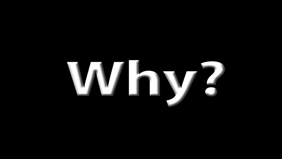英语课件why_第2页