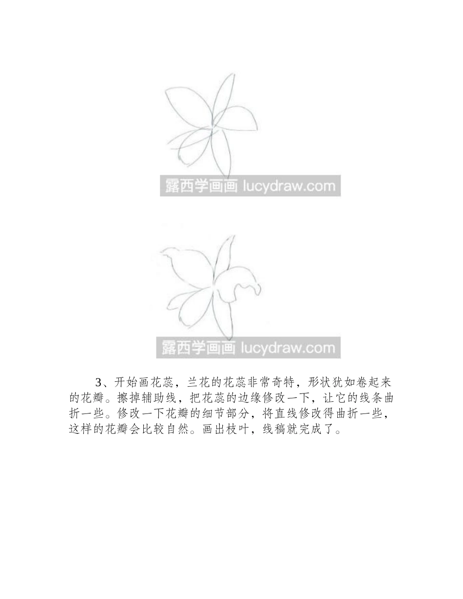 兰花的彩铅画法彩铅画教程_第2页