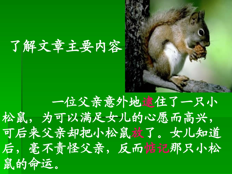 那只松鼠（蔡惠）_第2页