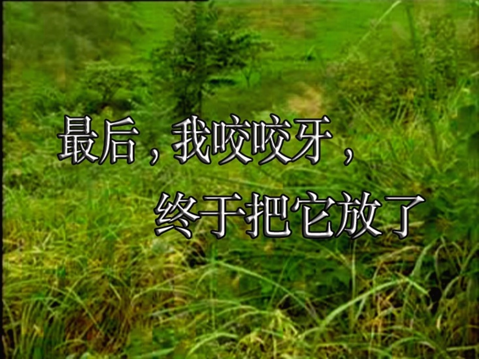 那只松鼠（蔡惠）_第3页