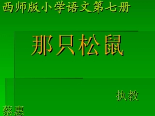 那只松鼠（蔡惠）