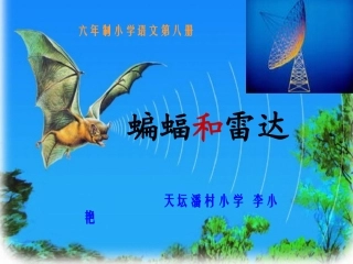 《蝙蝠和雷达》教学演示课件