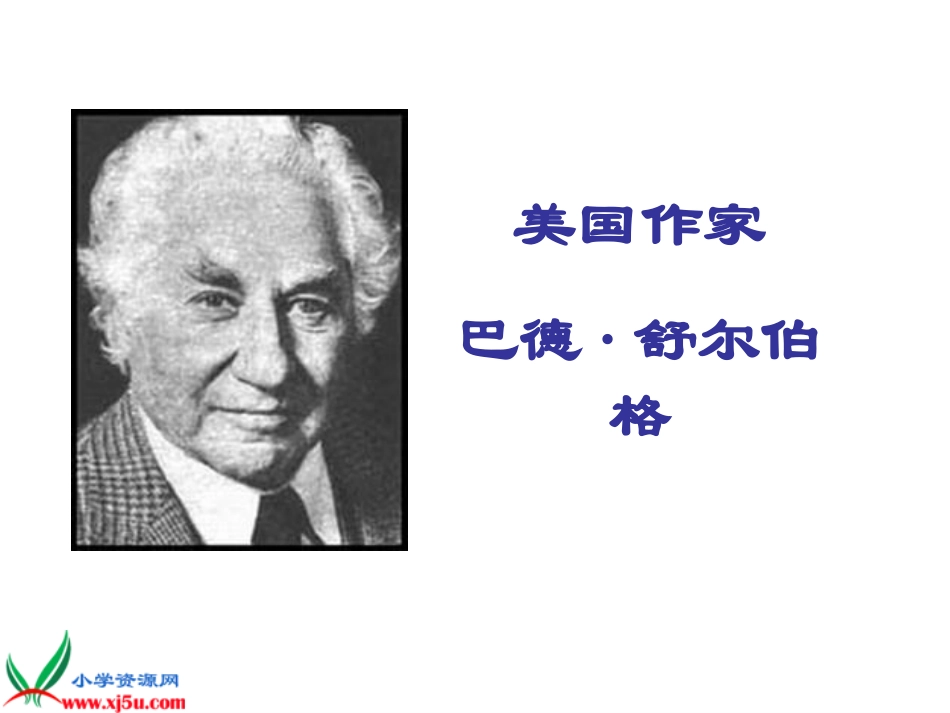 《“精彩极了”和“糟糕透了”》课件_第2页