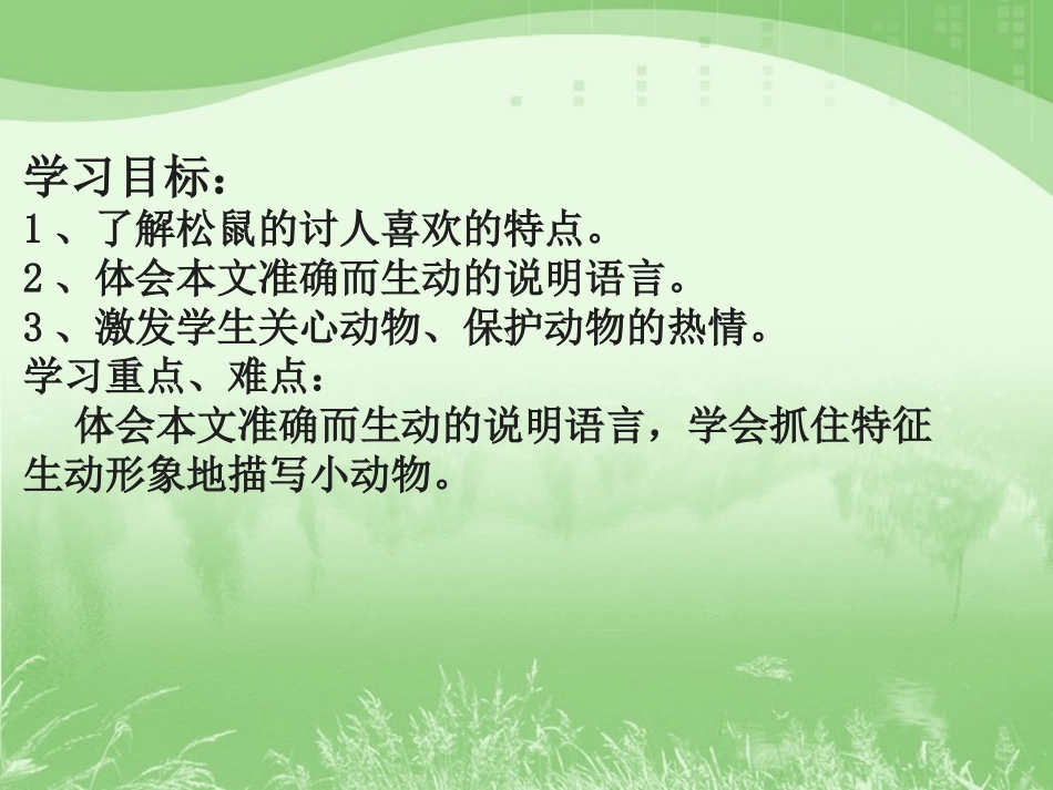 《10松鼠》_第2页