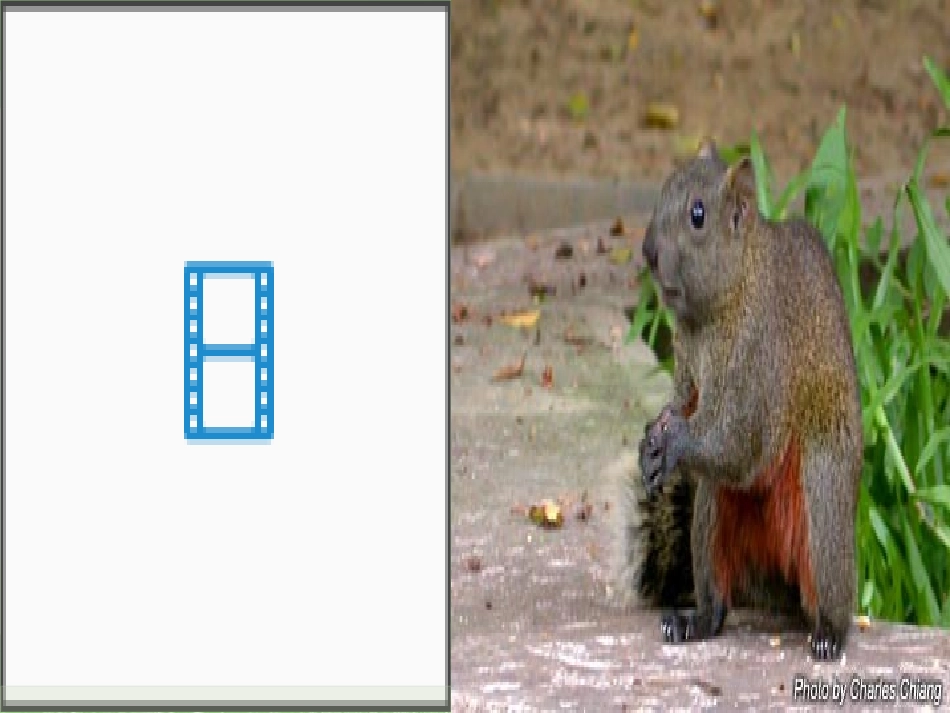 《10松鼠》_第3页