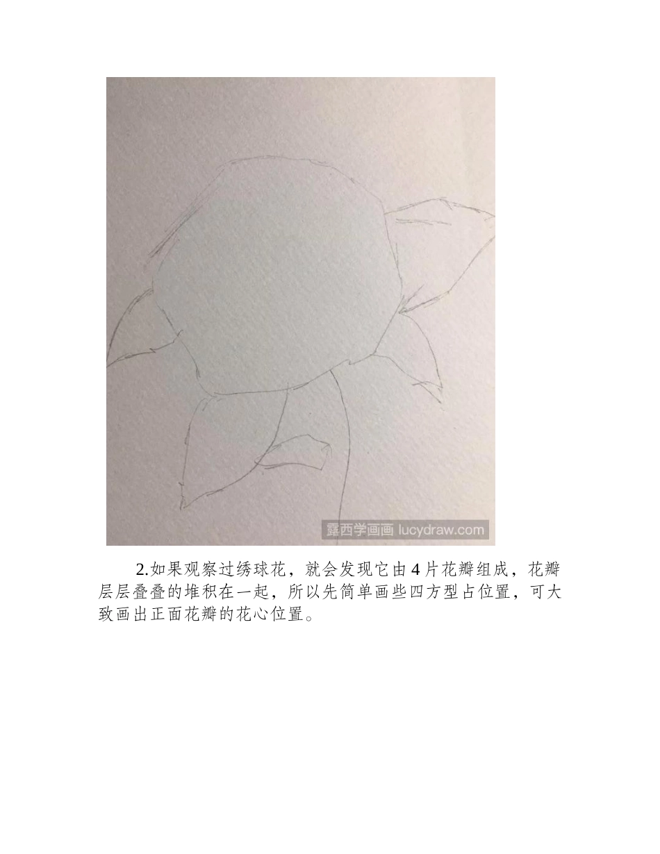 美丽的绣球花彩铅画教程是什么_彩铅画教程_第2页