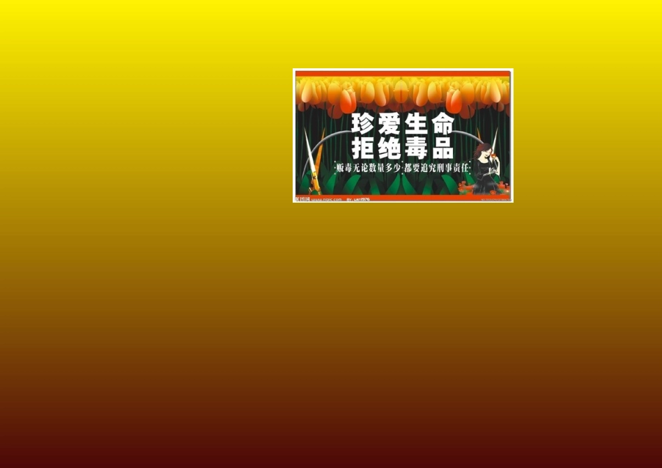 一小5[5]班盛梓宸禁毒防艾_第2页