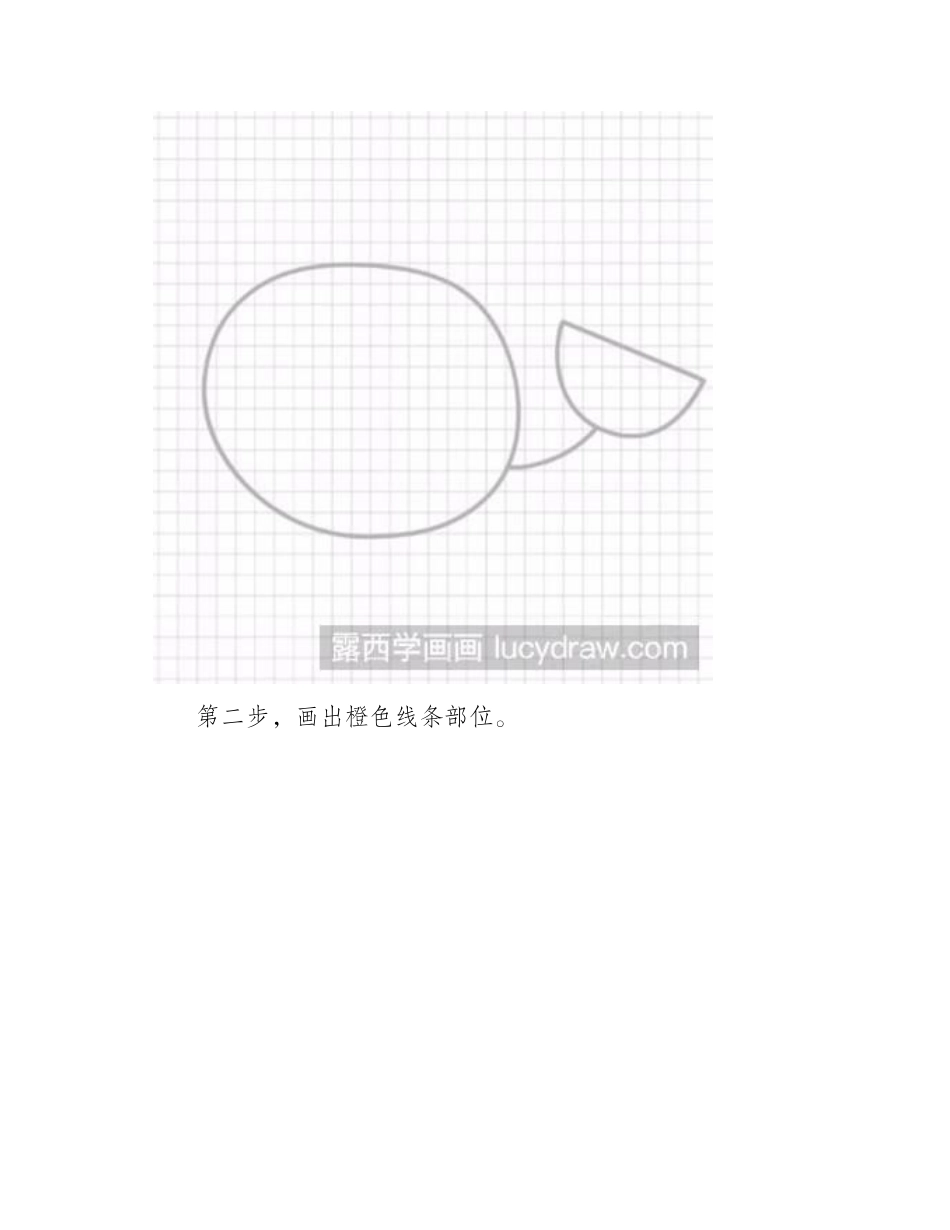 鲸鱼的简单画法简笔画教程_第2页