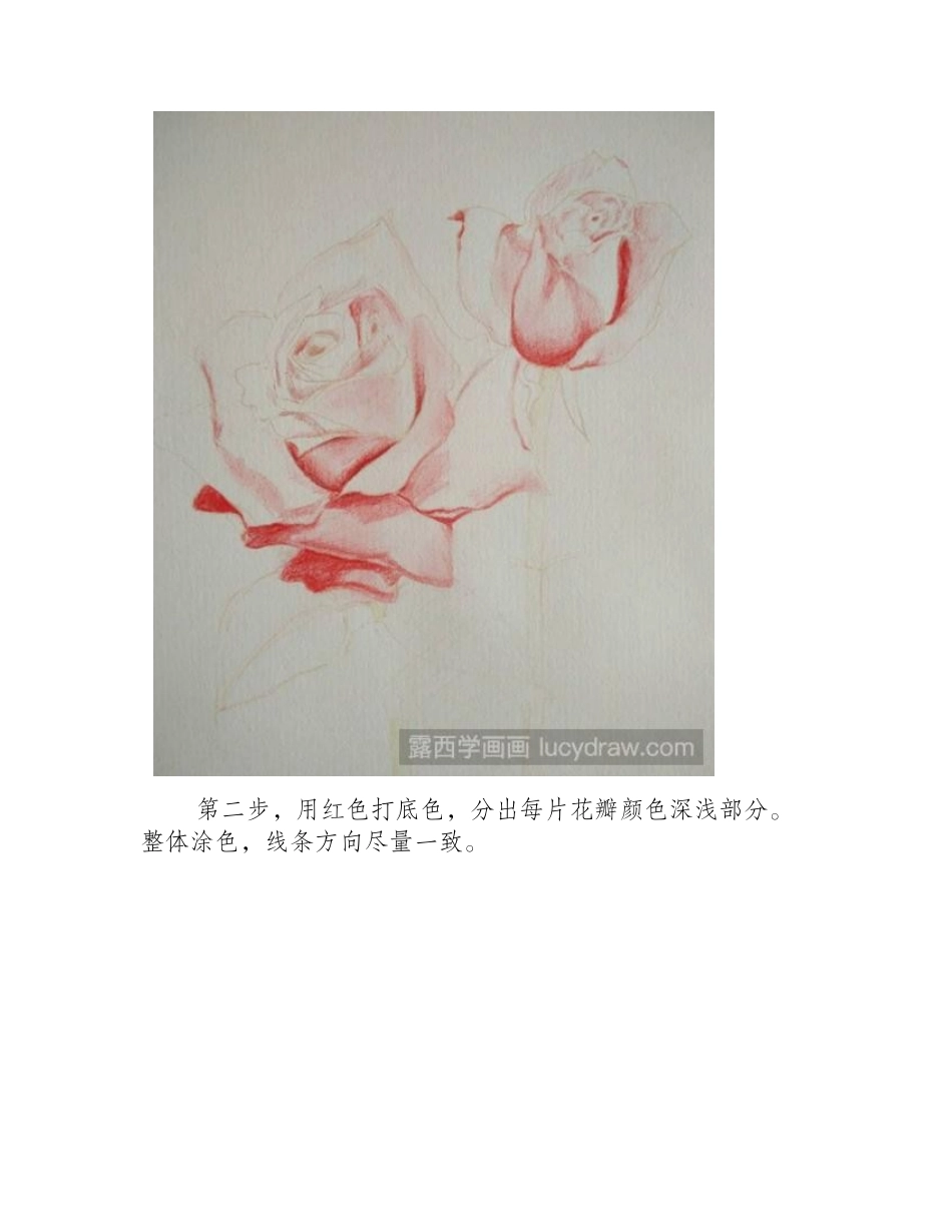 玫瑰花彩铅画教程彩铅画教程_第2页
