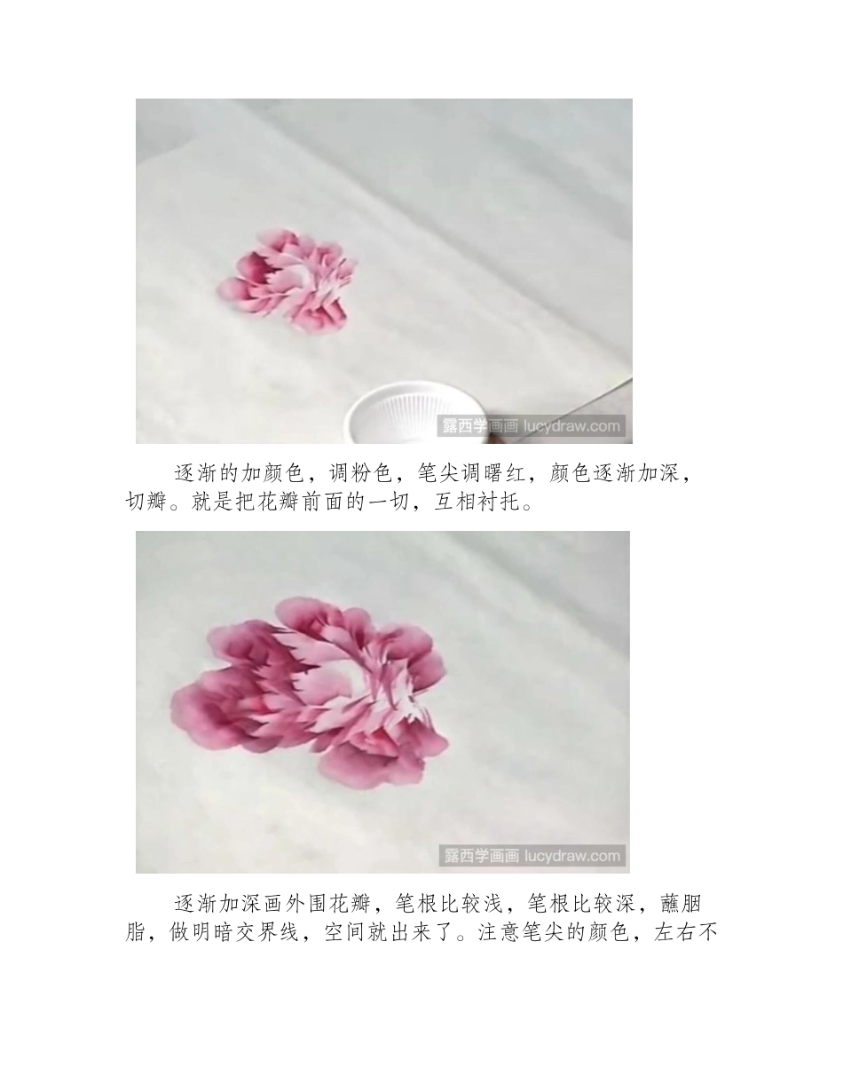 牡丹国画画法分享，国画必学教程国画教程_第2页