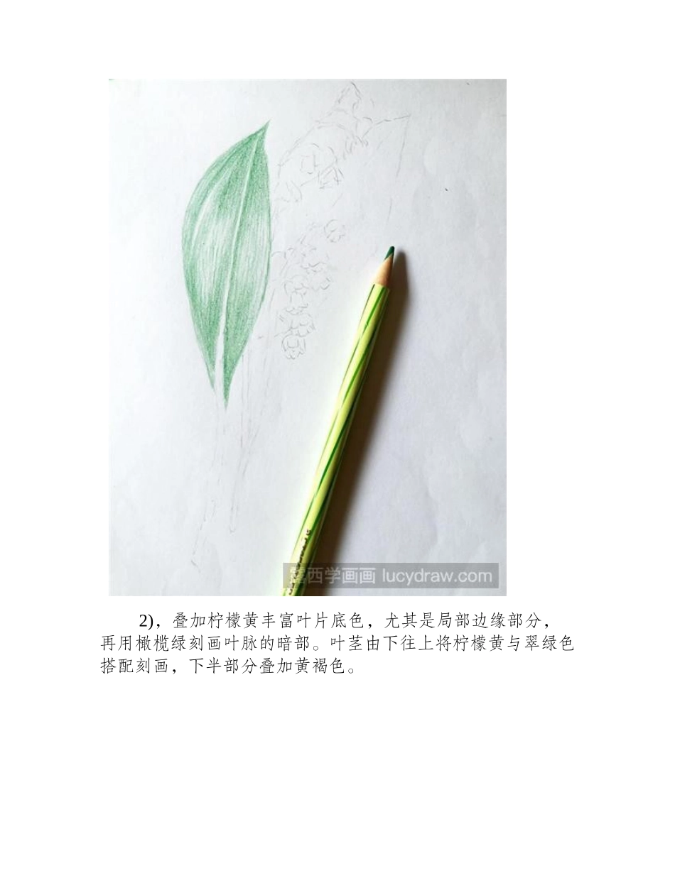 铃兰彩铅画教程彩铅画教程_第2页