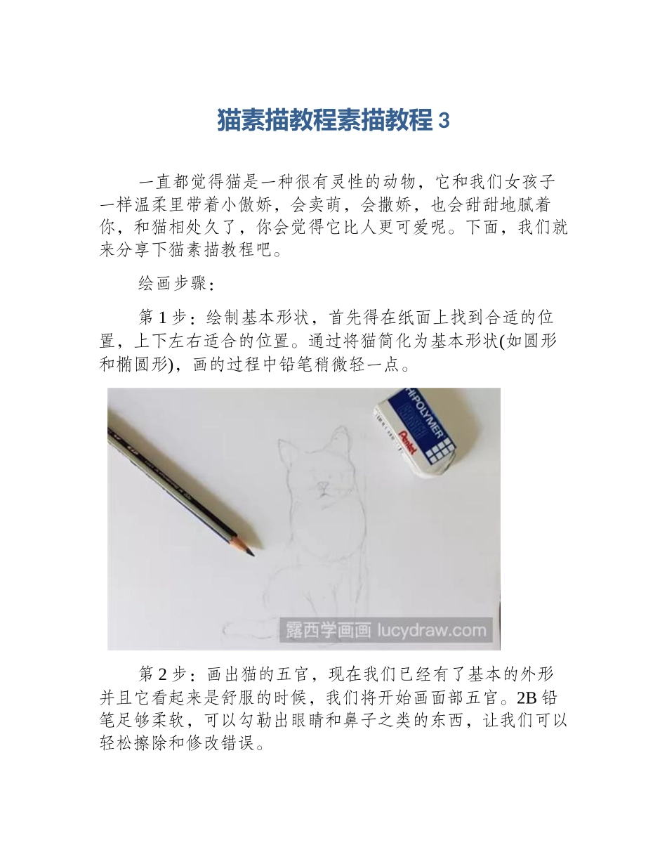猫素描教程素描教程3_第1页