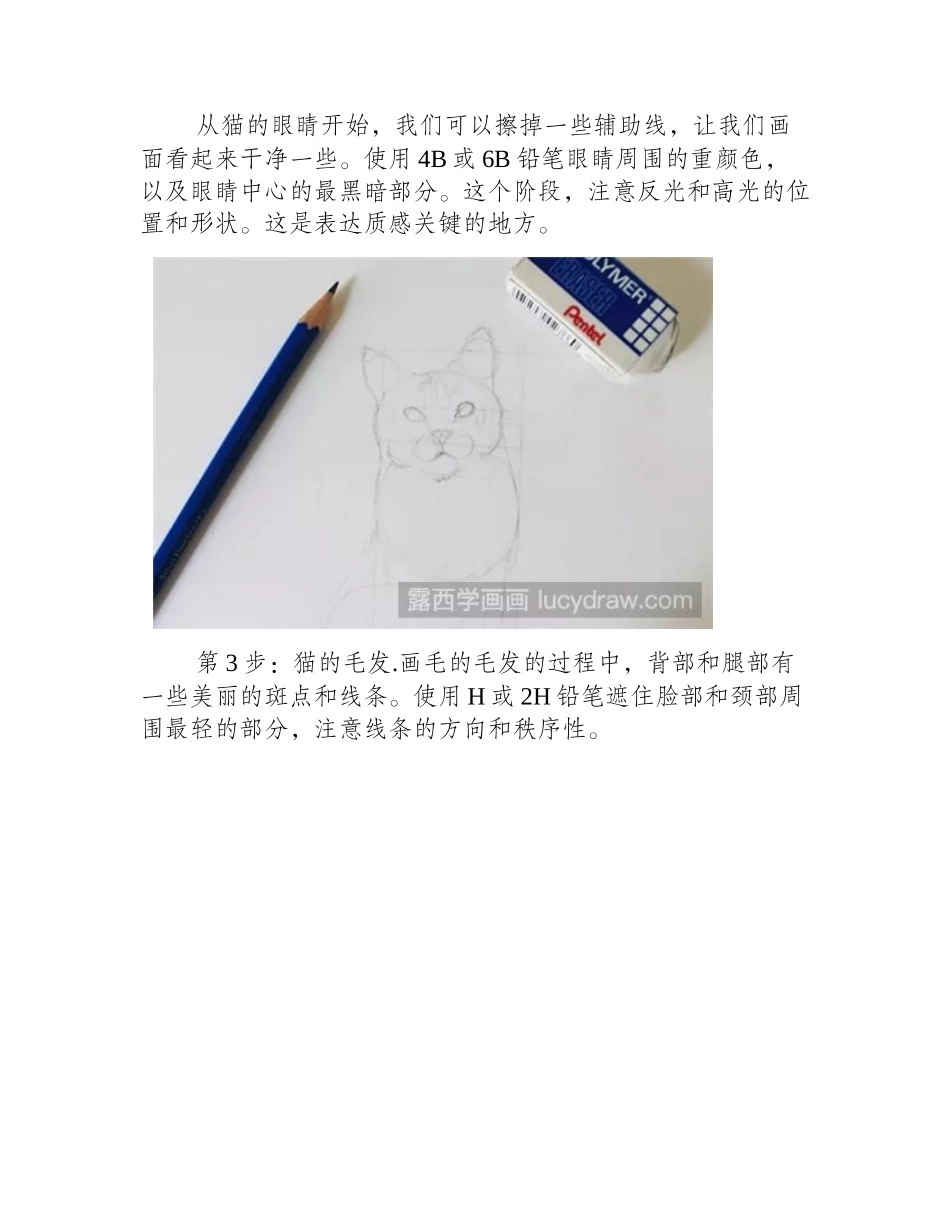 猫素描教程素描教程3_第2页