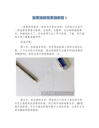猫素描教程素描教程3