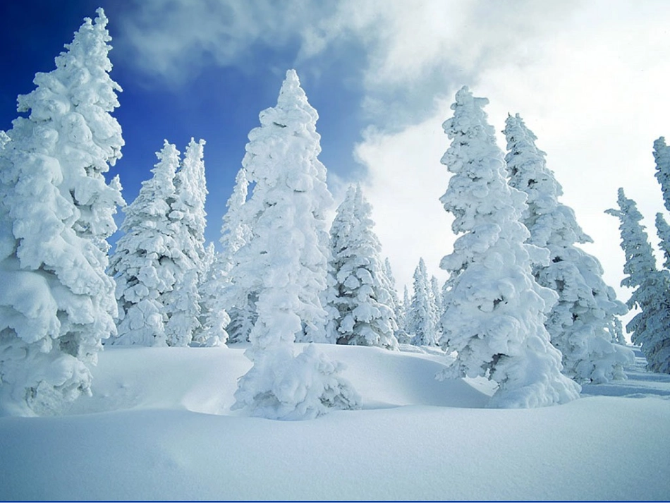 鲁迅_《雪》课件2_第2页