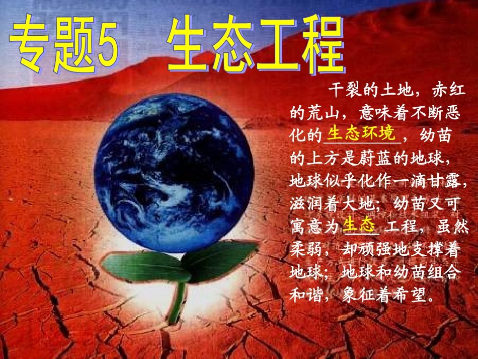 生态工程的基本原理_第1页