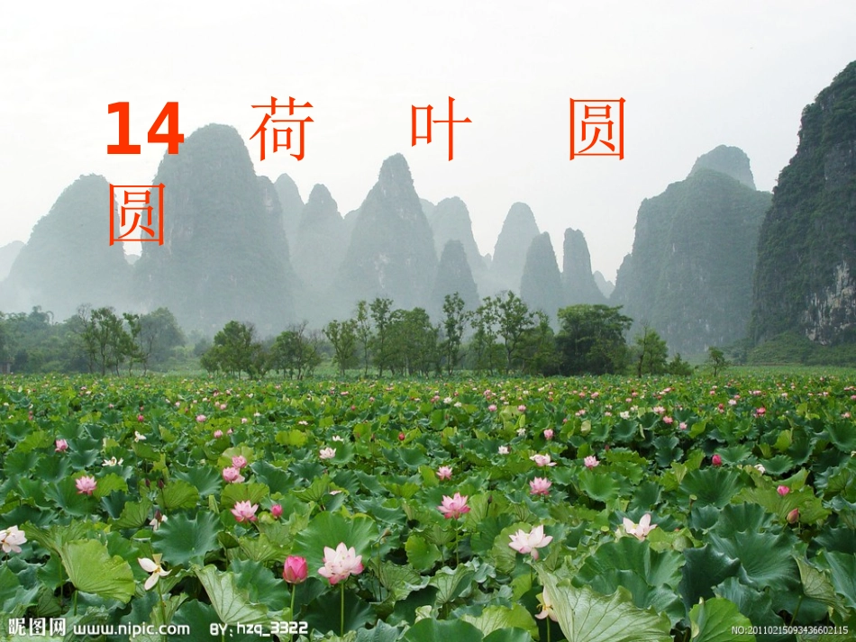 荷叶圆圆_演示文稿_第1页