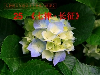 人教版五年级语文上册第八组《25七律长征》PPT