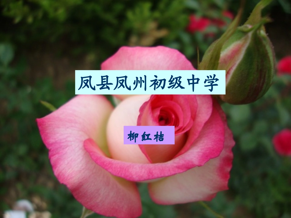 《我爱这土地》课件_第1页