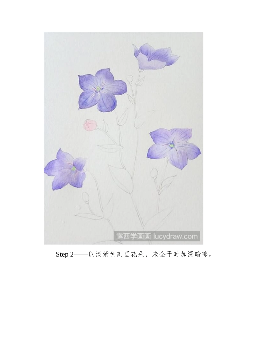 桔梗水彩画教程水彩画教程_第2页