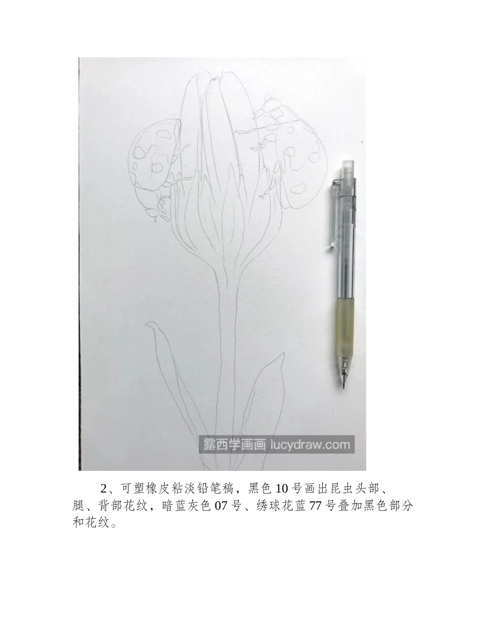 金龟子怎么画_如何画惊蛰小画_彩铅画教程_第2页