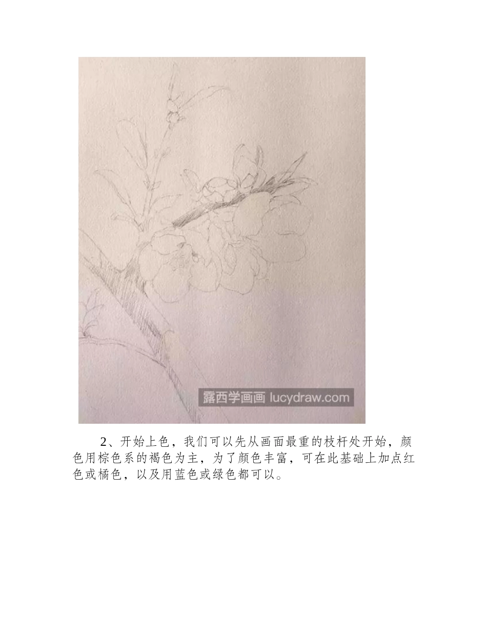 梨花怎么画_漂亮的梨花水彩画步骤有哪些_水彩画教程1_第2页