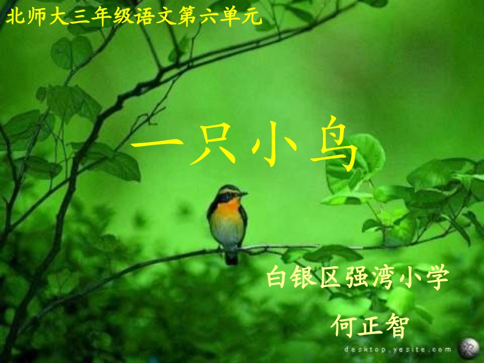 一只小鸟课件_第1页