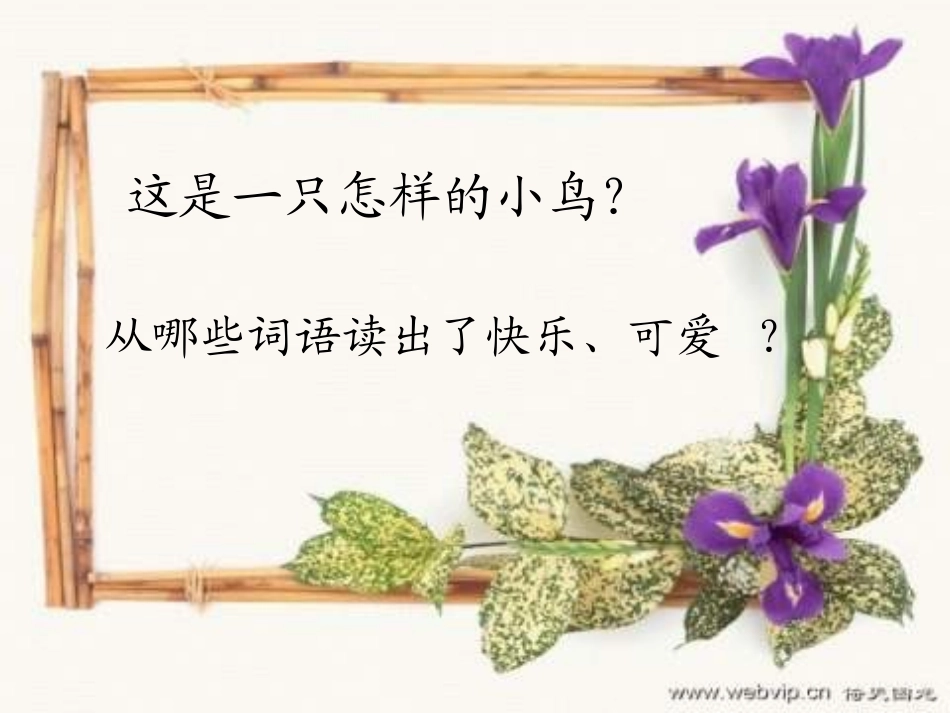 一只小鸟课件_第3页