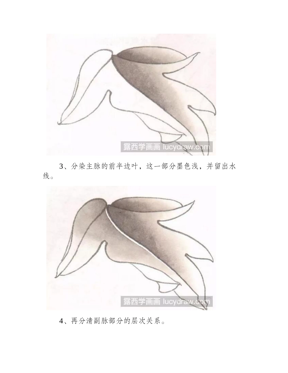 牡丹叶的工笔画法工笔画教程_第2页